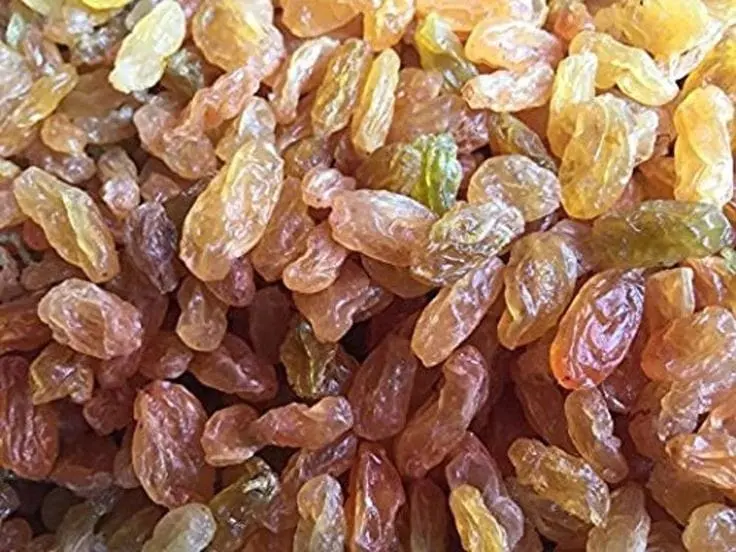 Bulk premium raisins stock ready for wholesale packing